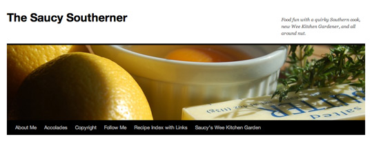 The Saucy Southerner Website header.